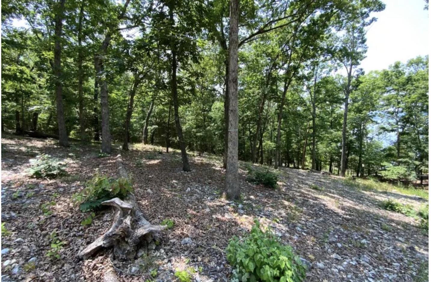 Driftwood Resort Bull Shoals Eksteriør bilde