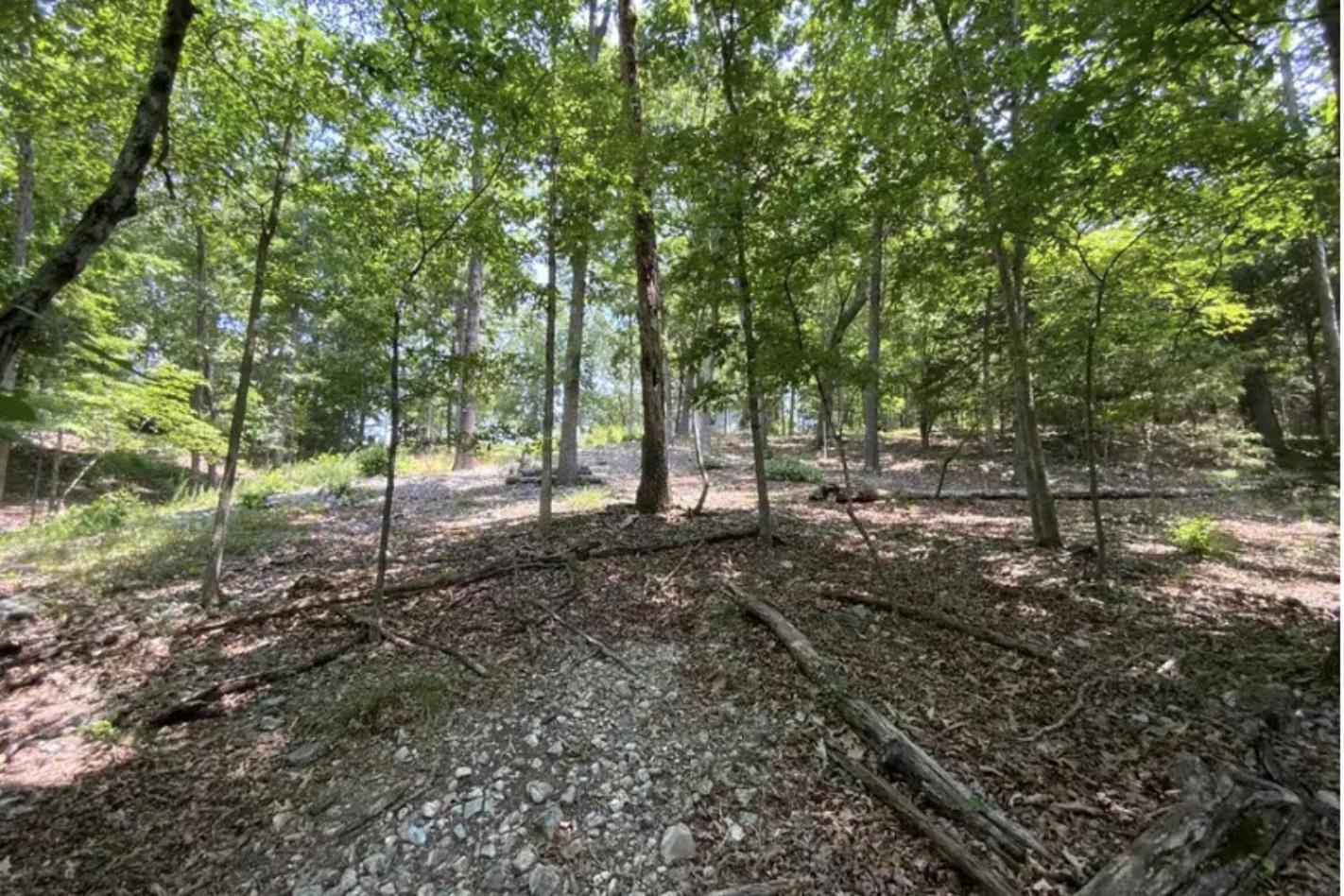 Driftwood Resort Bull Shoals Eksteriør bilde