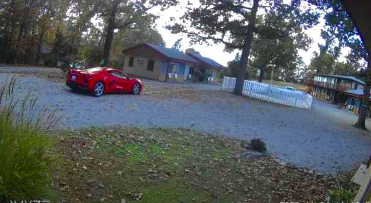 Driftwood Resort Bull Shoals Eksteriør bilde