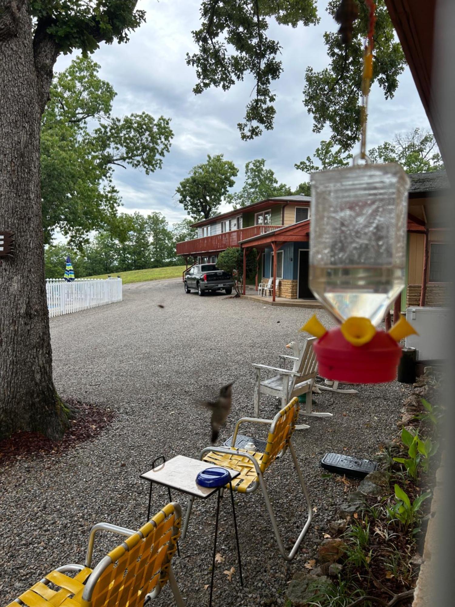 Driftwood Resort Bull Shoals Eksteriør bilde